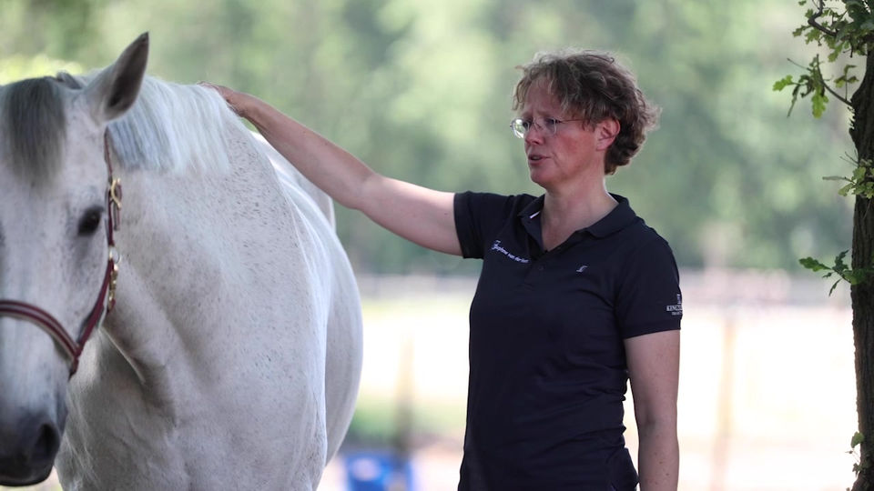 4 - schoftwiggle met uitleg